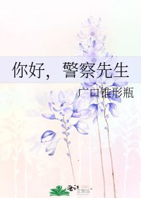 你好，警察先生